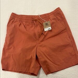Men's Rust Orange Shorts